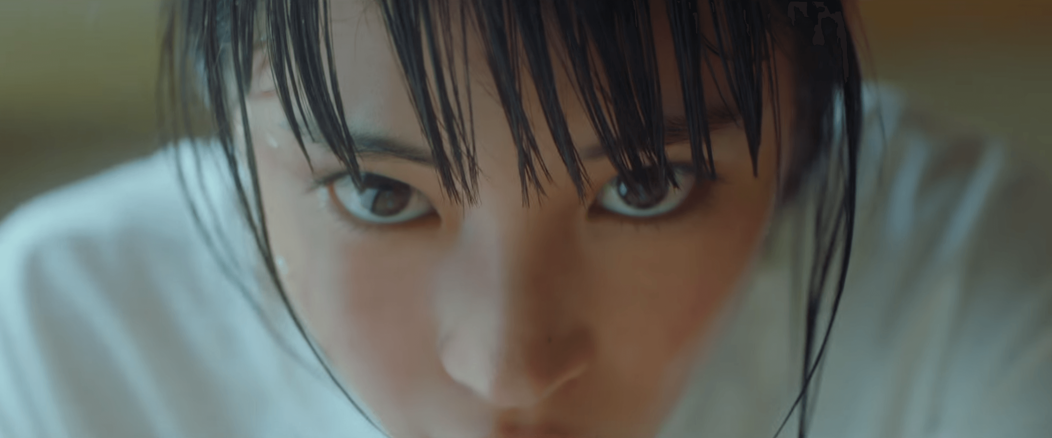 chihayahuru23