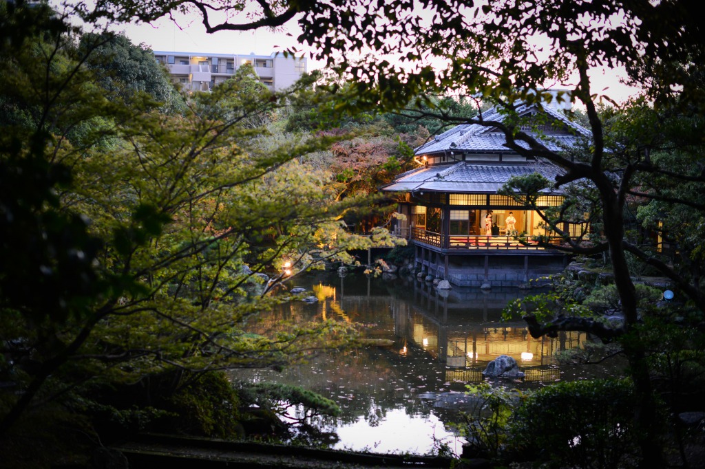 tea ceremony 9